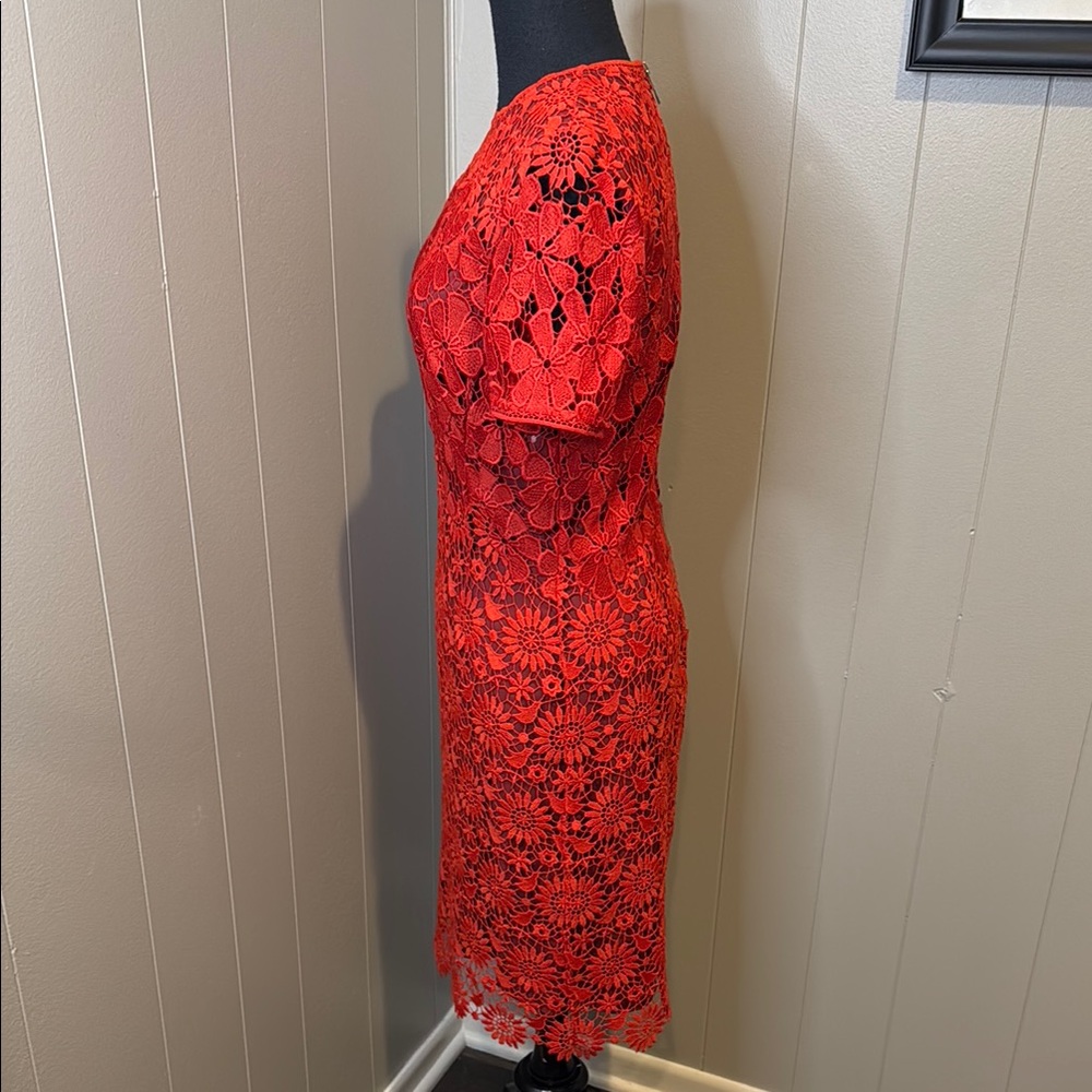 B6 Karen Millen Women’s 6 Scarlet Floral Lace Midi Dress - Picture 3 of 6